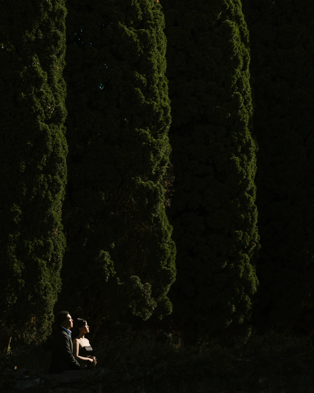 A couple sitting at the foot of tall dark cypresses