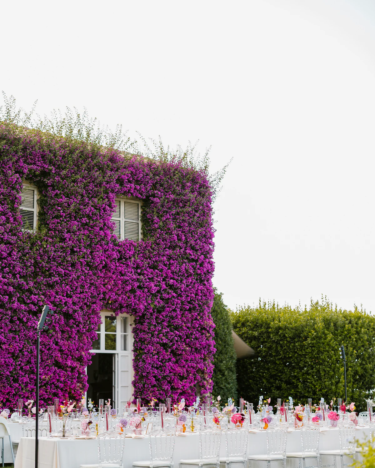 The house covered in bougainvillea, with the table set in front