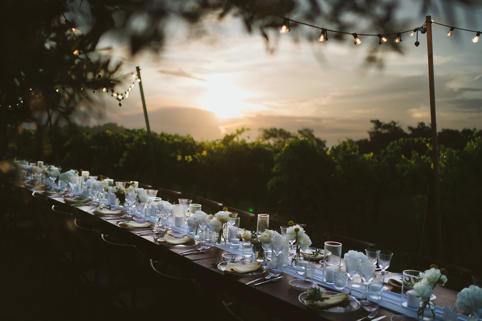 The long table at sunset among the olive trees